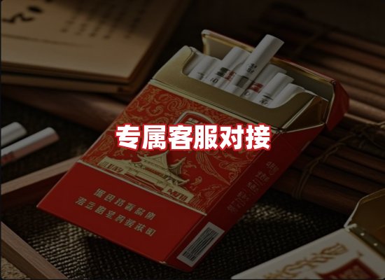专业团队